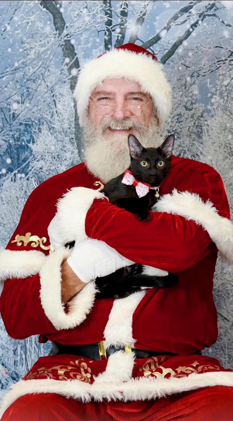 Mavis & Poppy thumbnail 3