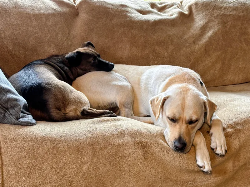 Johnny In The Hudson thumbnail 2