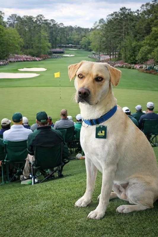 Johnny In The Hudson thumbnail 4