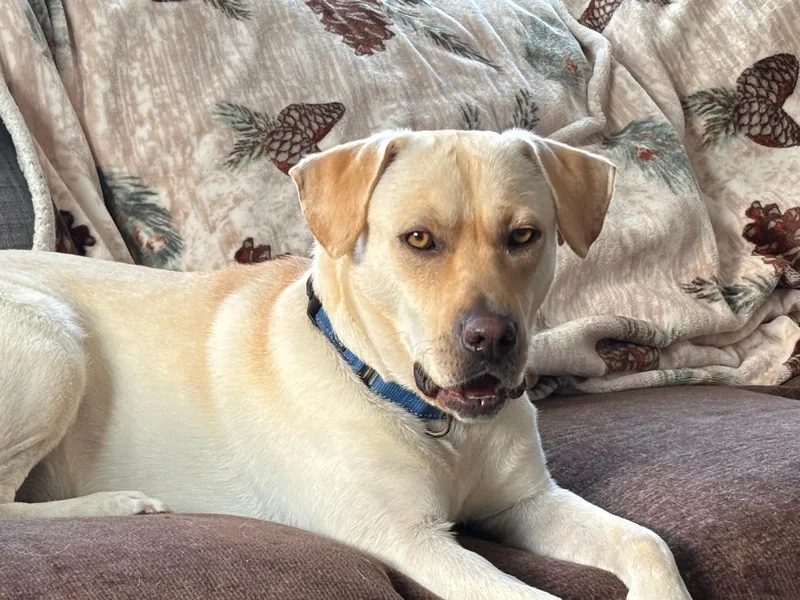 Johnny In The Hudson thumbnail 5