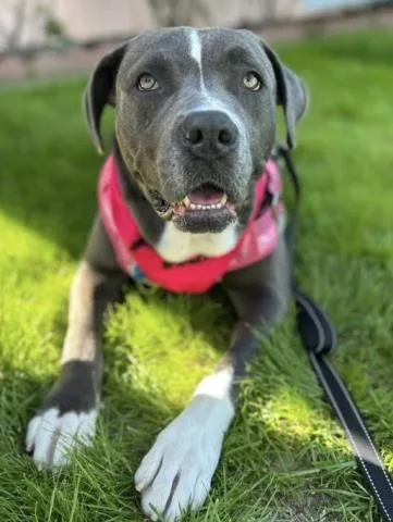 Cuddle Duds  Longtime