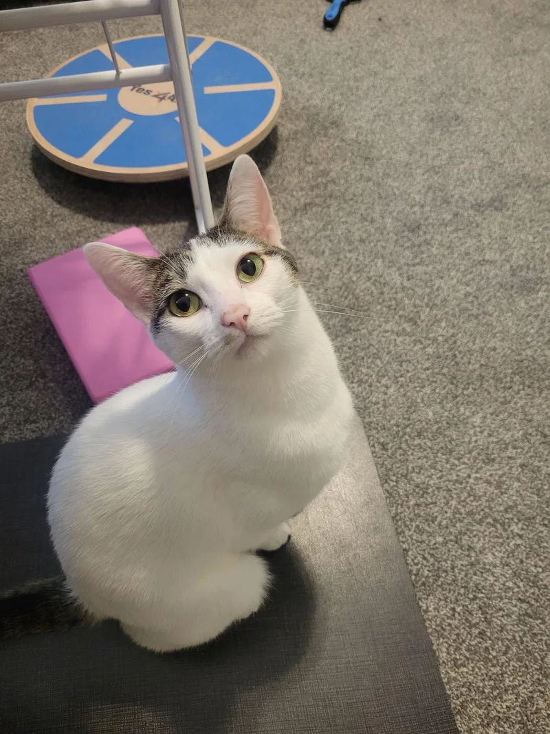 Cookie M. thumbnail 2