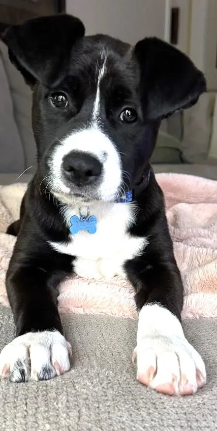 Jax