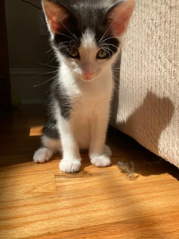 Eleanor