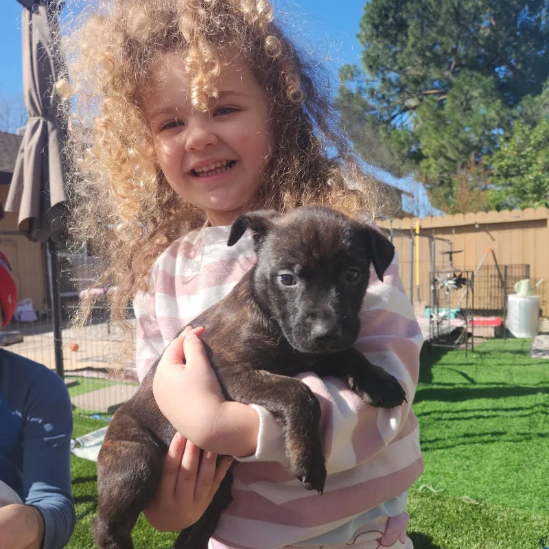 Cocoa Bean thumbnail 2