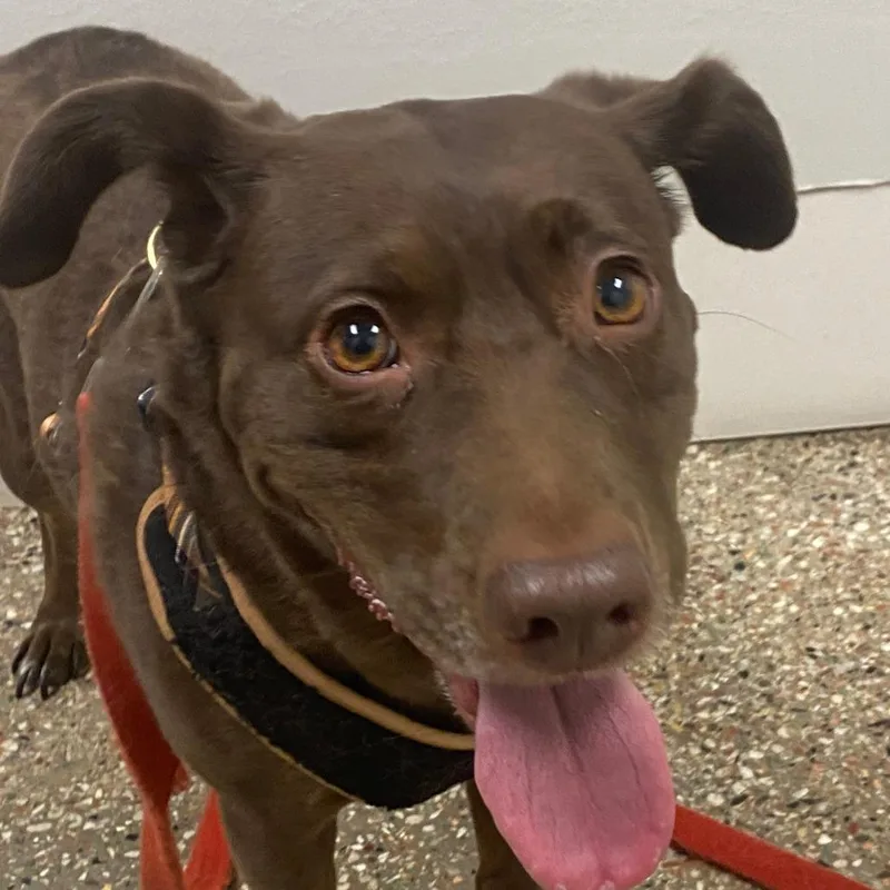 Murphy Brown thumbnail 3