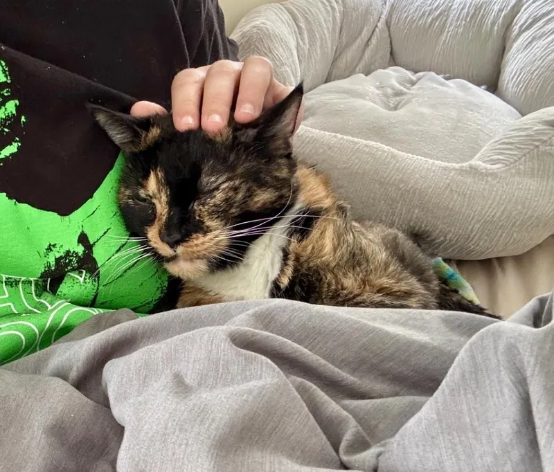Baby Girl thumbnail 4