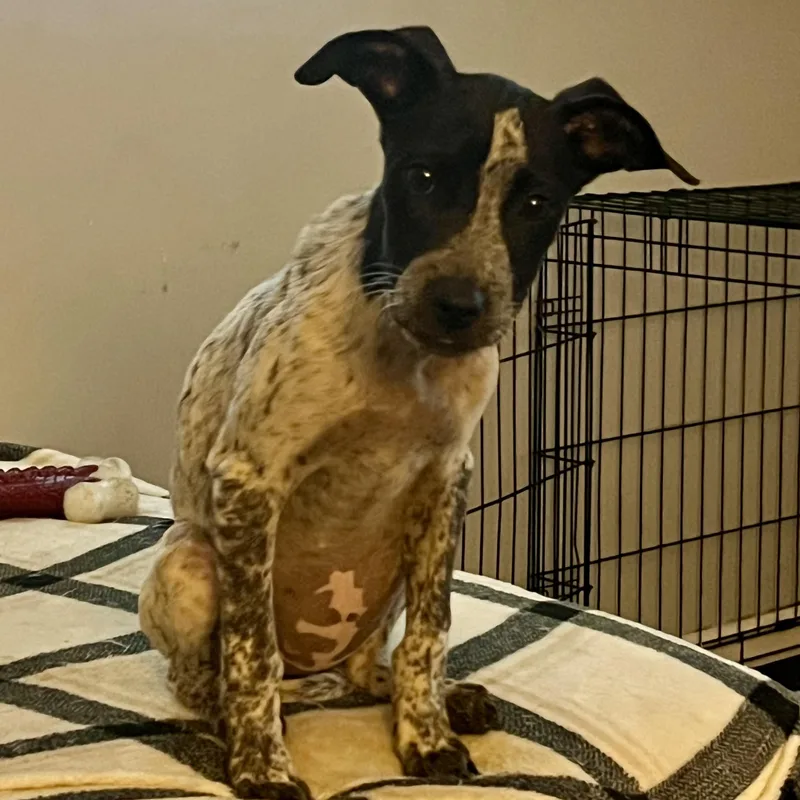 Marietta thumbnail 2