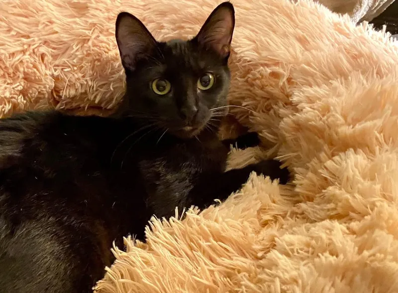 Thelma & Louise thumbnail 2