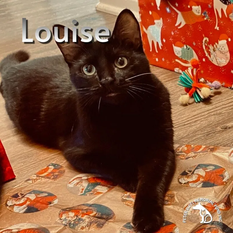 Thelma & Louise thumbnail 3