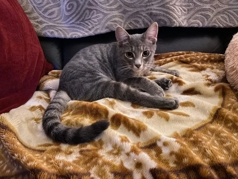 Thelma & Louise thumbnail 4