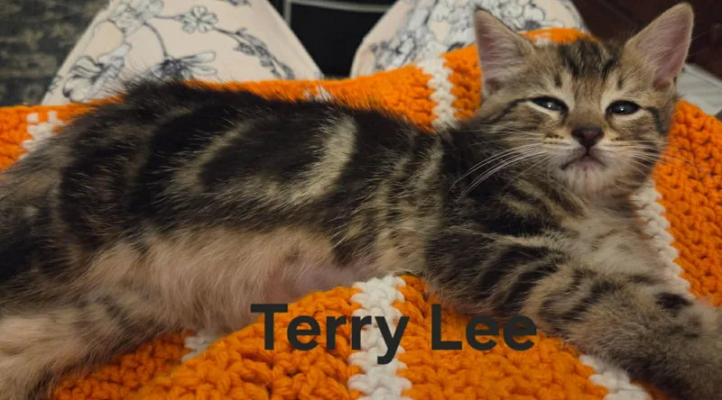 Baby Bobby & Terry thumbnail 3