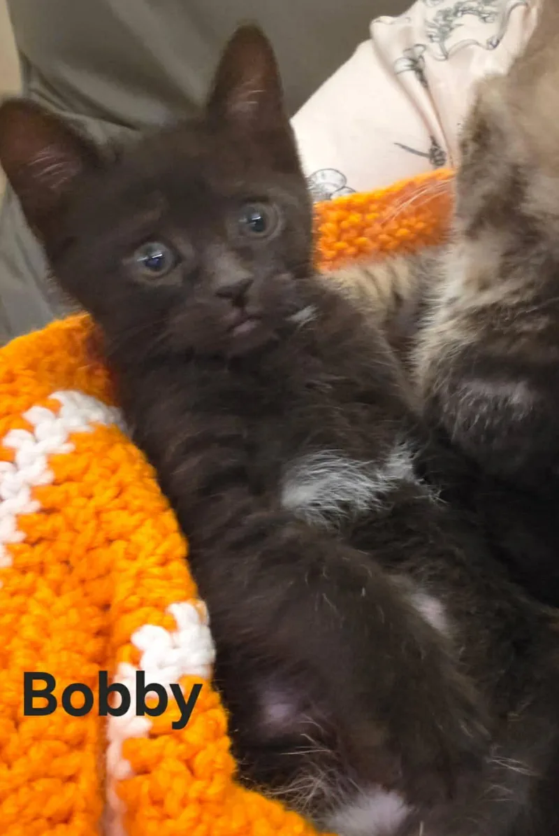 Baby Bobby & Terry thumbnail 4
