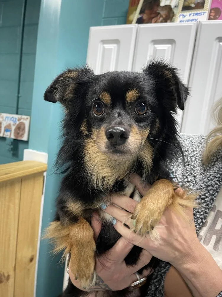 Night Night thumbnail 2