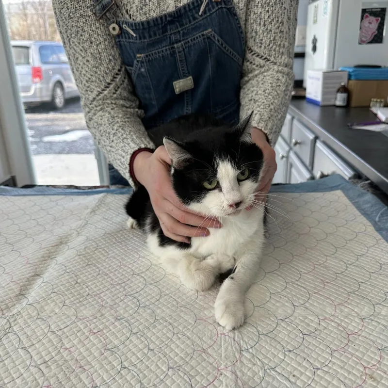 Lucky Bean Estep thumbnail 2