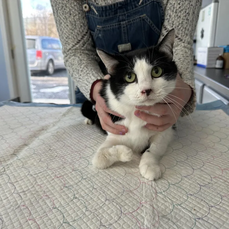 Lucky Bean Estep thumbnail 3