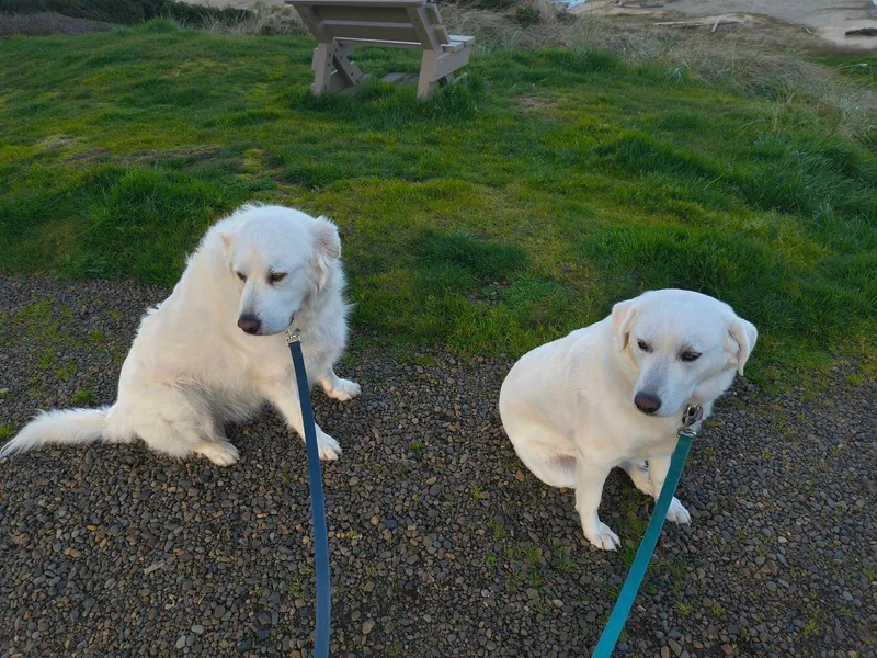 Thor and Nala 