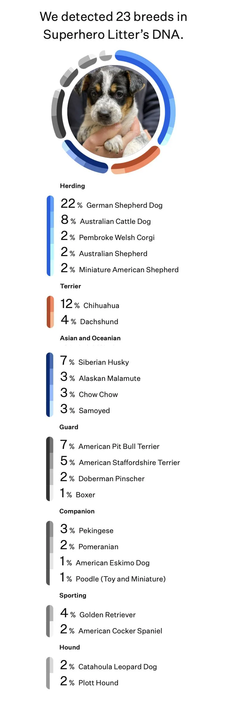 Spiderman thumbnail 2