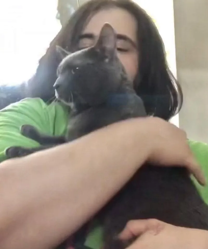 Chat Napa Petco thumbnail 2