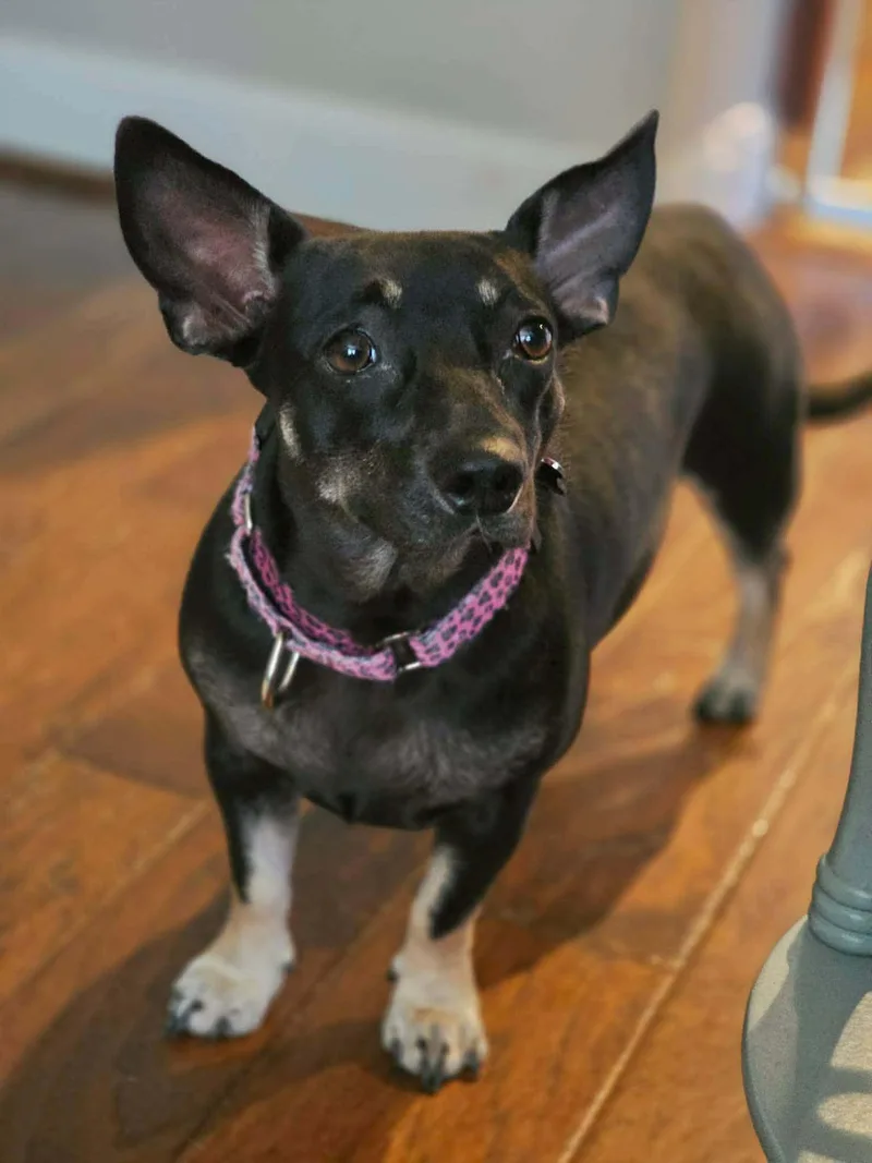 Maggie thumbnail 2