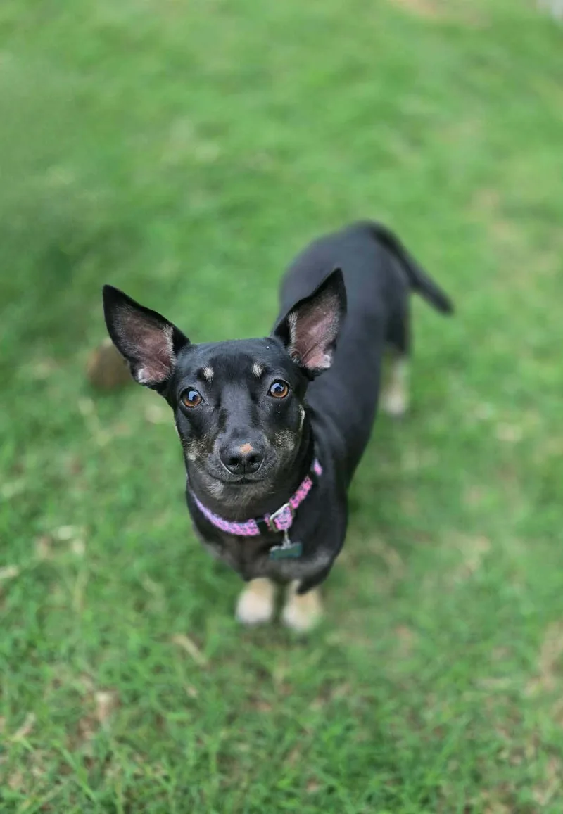 Maggie thumbnail 3