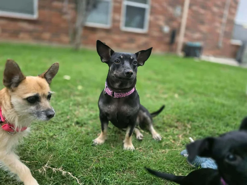 Maggie thumbnail 5