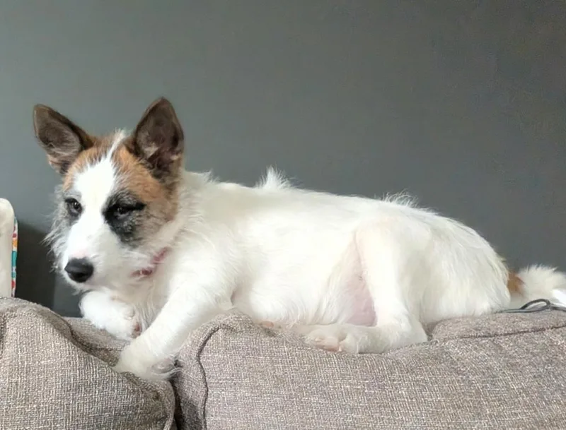 Maggie