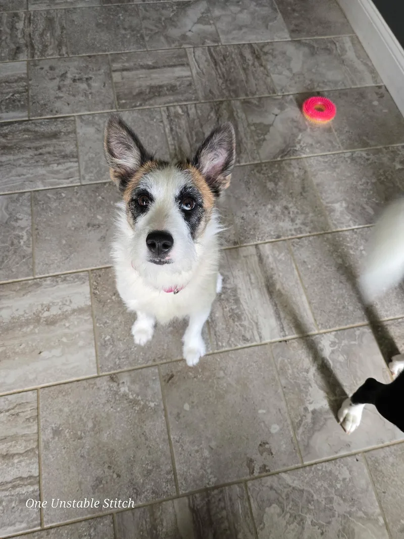 Maggie thumbnail 2