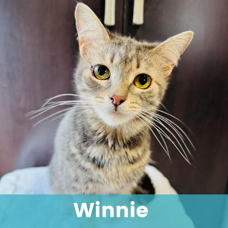 Winnie thumbnail 6