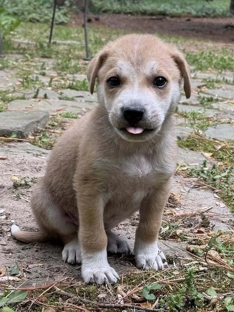 Malarkey thumbnail 2