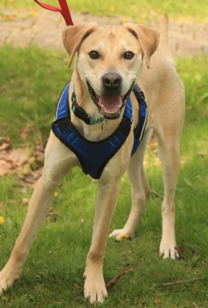 Zippity thumbnail 6