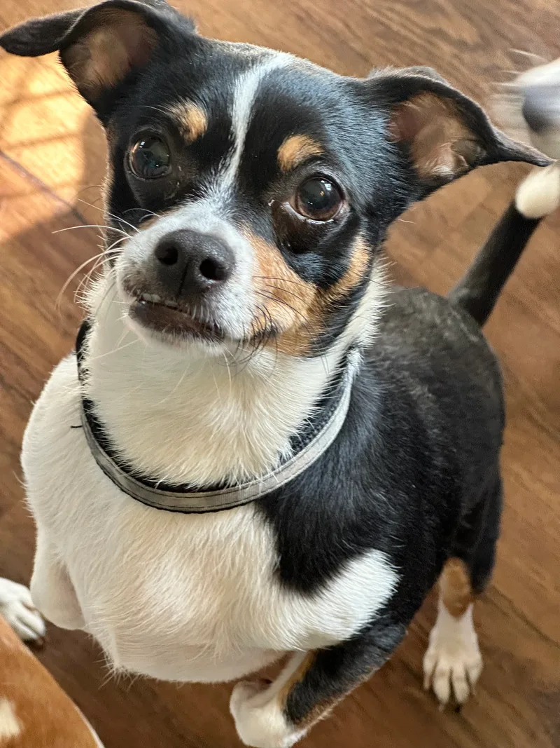 Teddy And Carly thumbnail 2