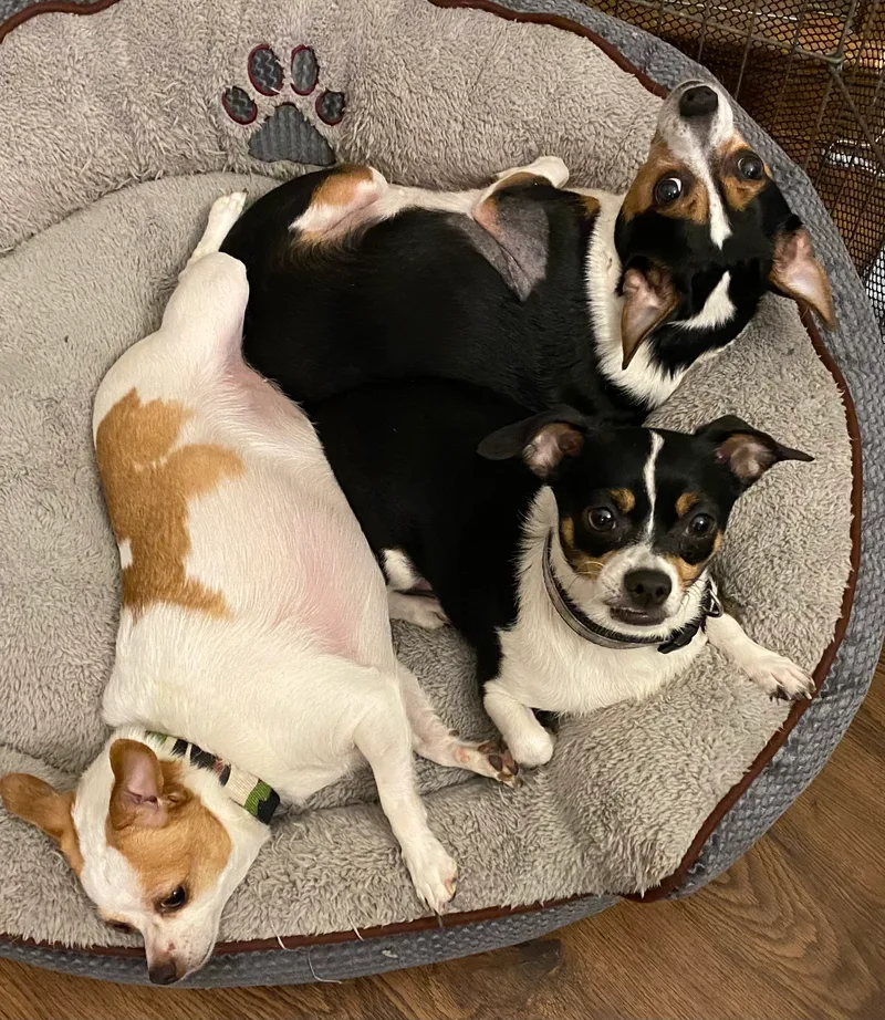 Teddy And Carly thumbnail 3