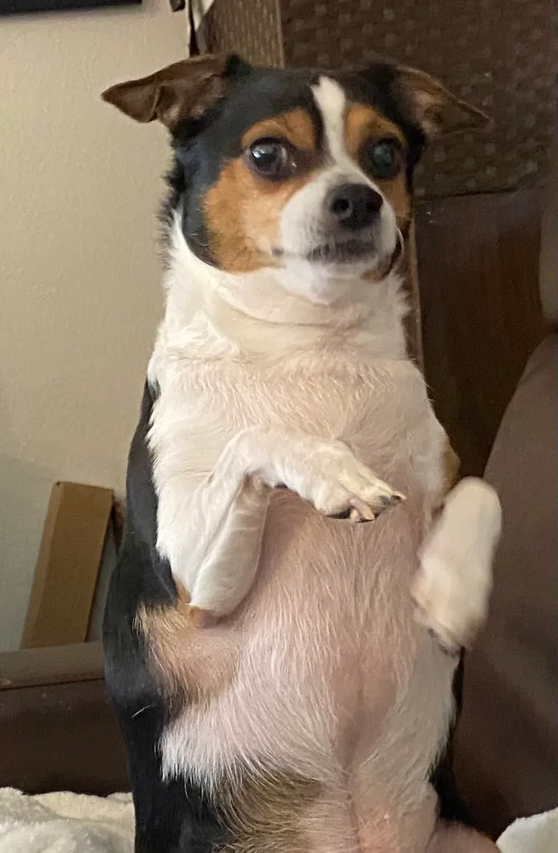 Teddy And Carly thumbnail 4