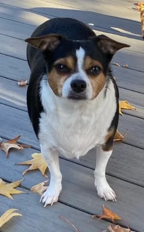 Teddy And Carly thumbnail 5