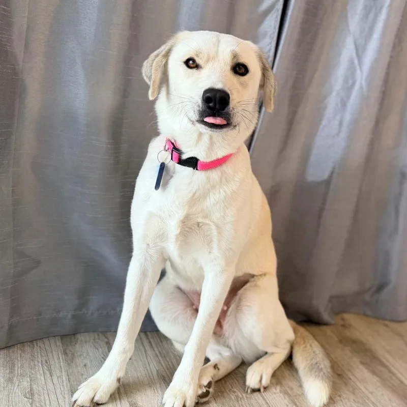 Skye thumbnail 5