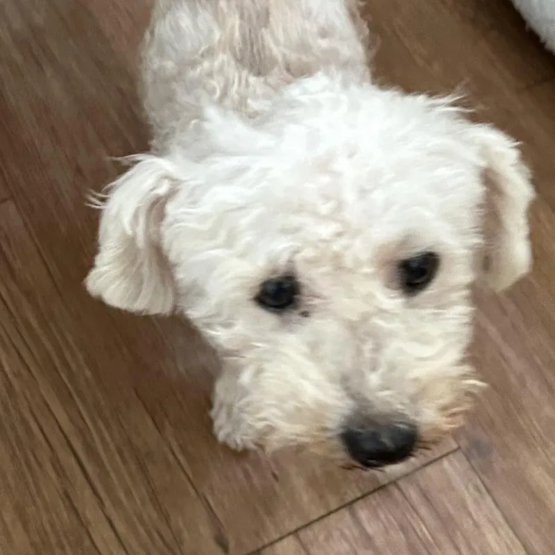 Reilly Lee thumbnail 2