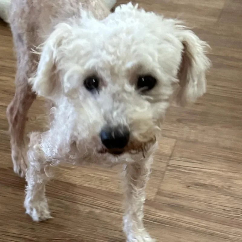 Reilly Lee thumbnail 3