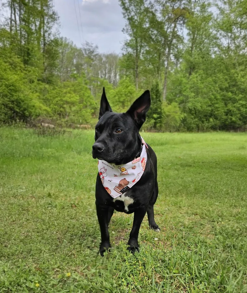 Betty White thumbnail 3