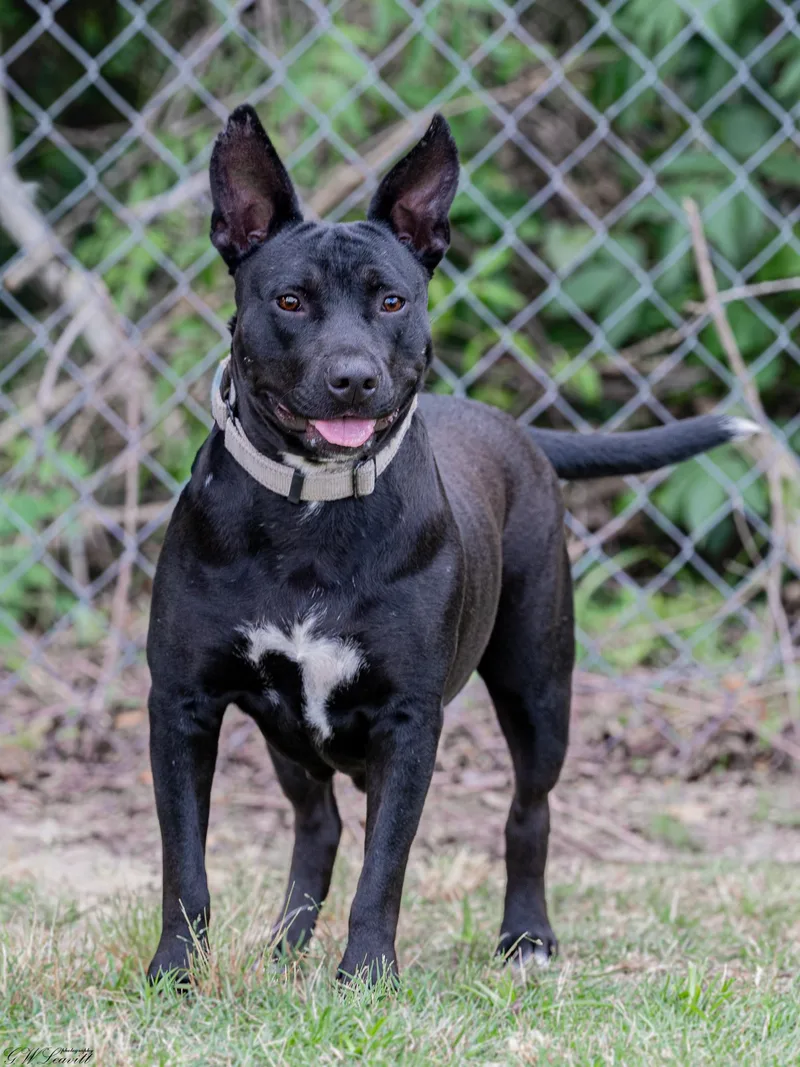 Betty White thumbnail 4