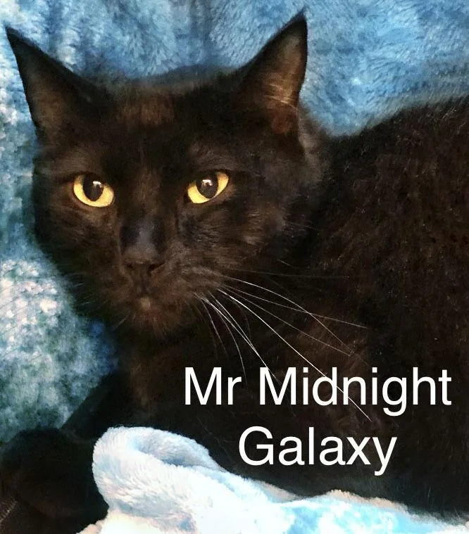 Mr Midnight Galaxy At thumbnail 3