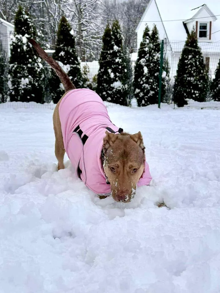 Hunney  Local thumbnail 2