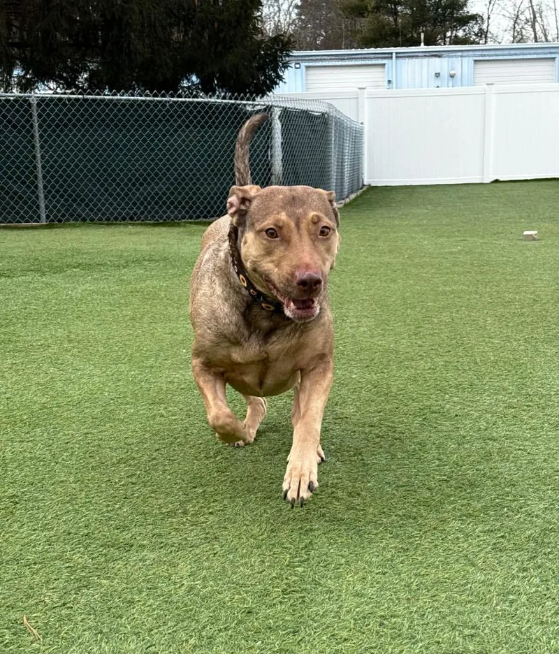 Hunney  Local thumbnail 3