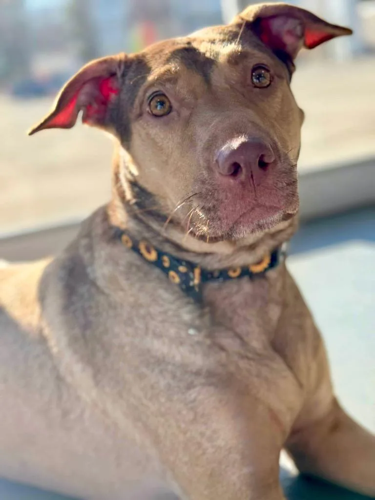 Hunney  Local thumbnail 5