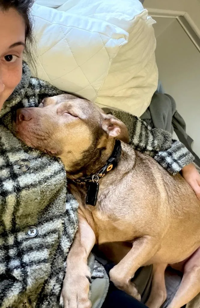 Hunney  Local thumbnail 6