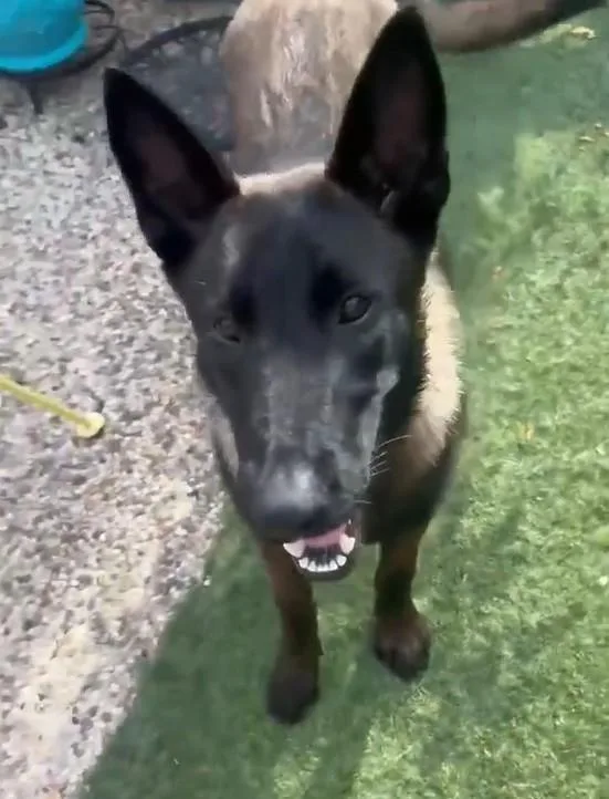 Tina thumbnail 5