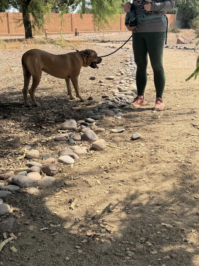 Spot