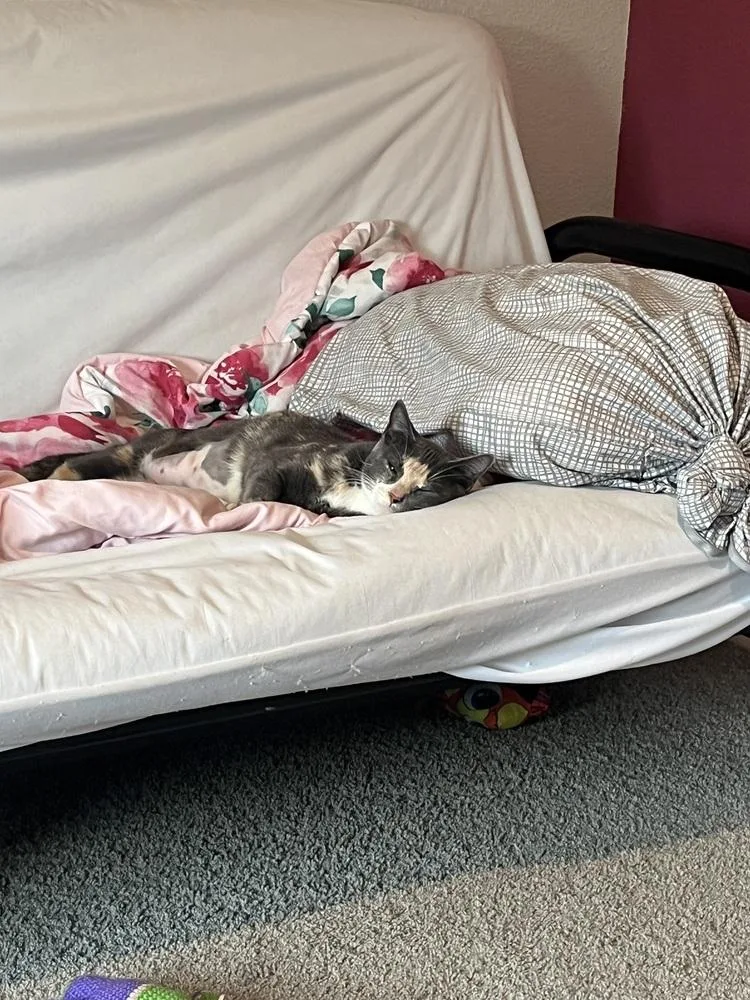 Mochiminx thumbnail 4