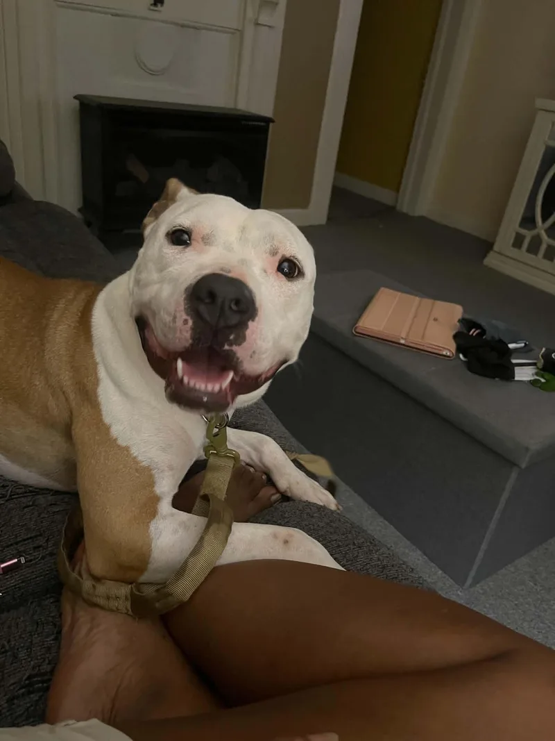 Kiya thumbnail 2