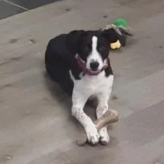 Lynda Carter thumbnail 3